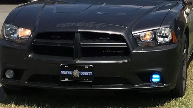 Manhunt Culminates in Arrest After Daring Patrol Car Theft in Wayne County