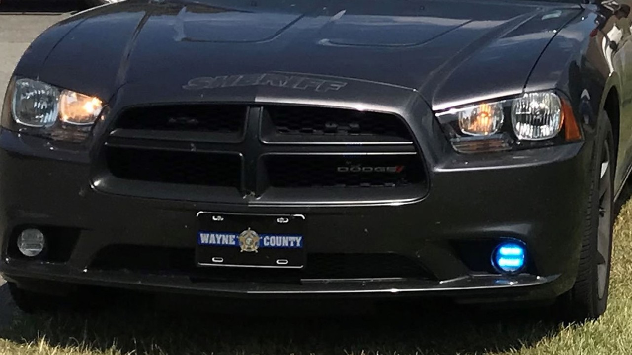 Manhunt Culminates in Arrest After Daring Patrol Car Theft in Wayne County