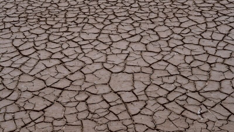 Eastern North Carolina Faces Dangerously Low Water Levels Amid Worsening Drought