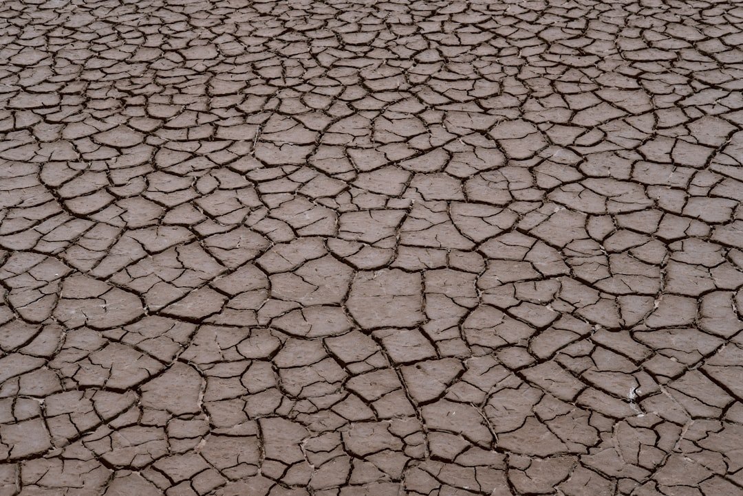 Eastern North Carolina Faces Dangerously Low Water Levels Amid Worsening Drought
