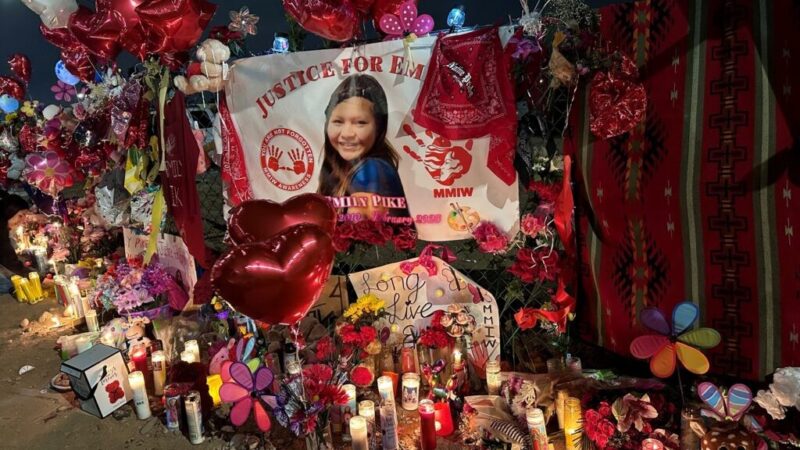 Demand for Accountability: Tragic Child Deaths Fuel Calls for Openness in Child Welfare Systems