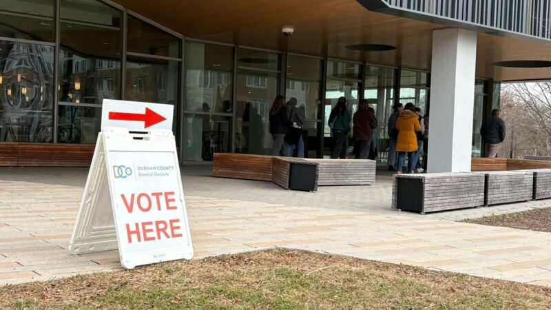 Decoding the Electorate: Who Voted in the 2026 Primaries and What it Means for the Future
