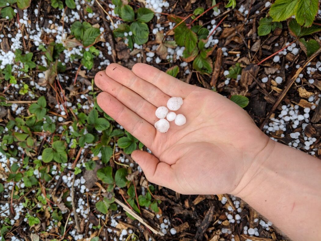 Pea-Sized Hail, Strong Winds Possible in Eastern NC Storms