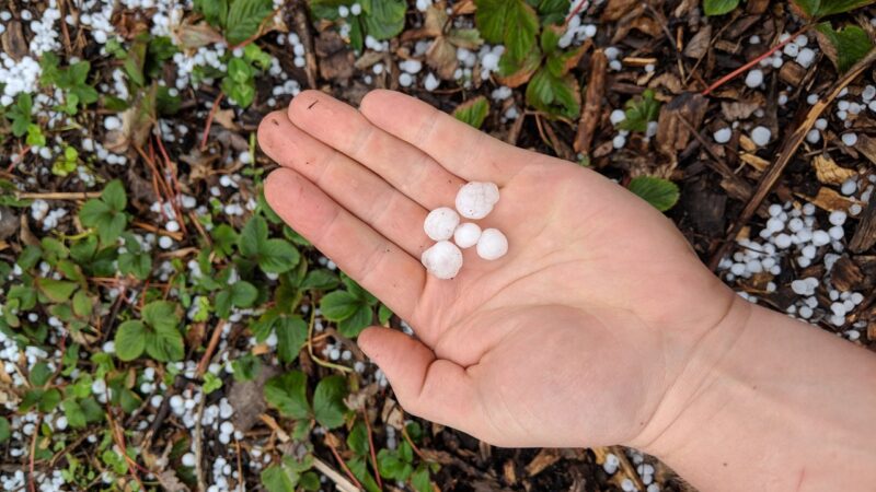 Pea-Sized Hail, Strong Winds Possible in Eastern NC Storms
